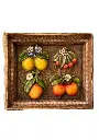 Para catalogo (10).webp